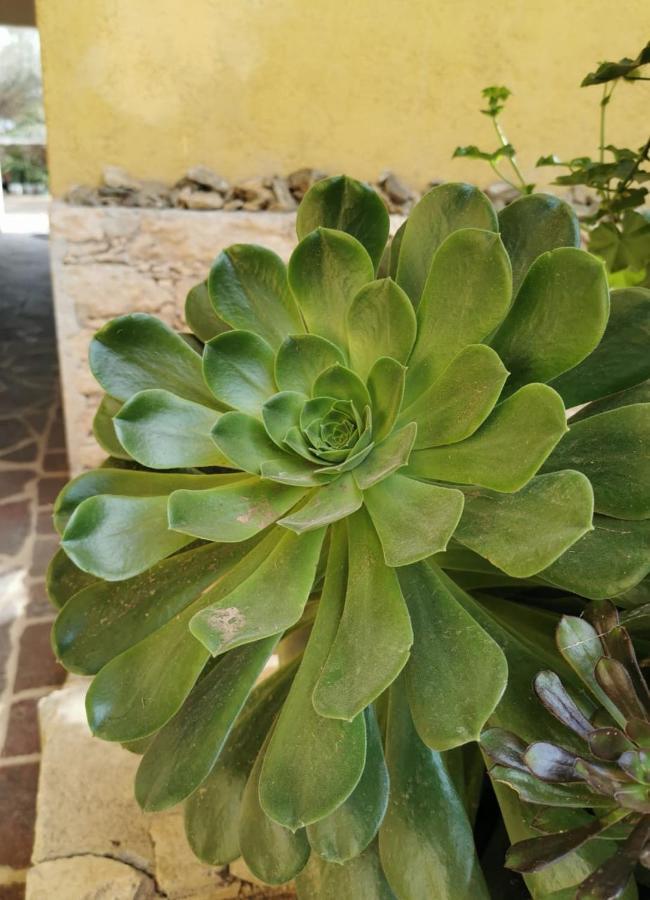 Pozos  Posada Casa Del Minero מראה חיצוני תמונה